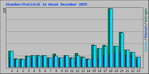 Stunden-Statistik im Monat Dezember 2025
