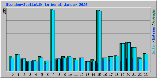 Stunden-Statistik im Monat Januar 2026