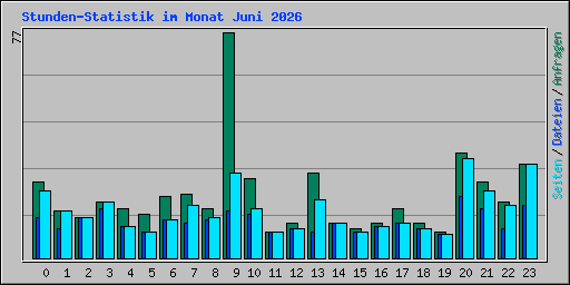 Stunden-Statistik im Monat Juni 2026